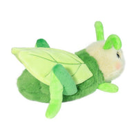 Kady Grasshopper