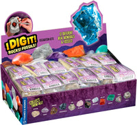 I Dig It! Rocks & Fossils