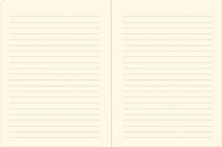 Axolotl Journal