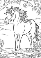XXL - Farm