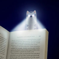 Book Buddies Cat