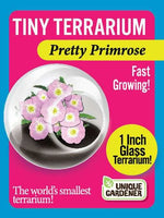 Tiny Terrarium Flowers