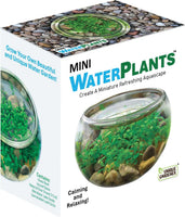 Mini Waterplants CDU