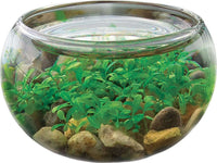 Mini Waterplants CDU