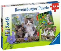Cuddly Kittens - 49 Piece, 3 pack