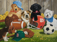 Let's Play Ball - 200 Piece Puzzle