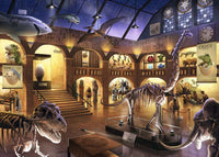 Escape Puzzle Kids - Museum Mysteries