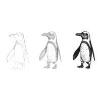 Do Art Drawing & Sketching