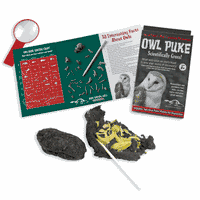 Owl Puke