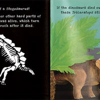 Dinosaurs: A Shine-a-Light Book