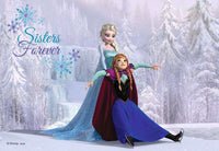 Frozen Sisters Always 2x24pc
