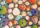 Puzzle Moment 300pc - By the Seashore

