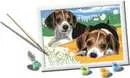 CreArt: Jack Russel Puppies
