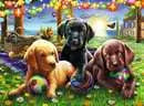 Puppy Picnic 100 Piece Puzzle

