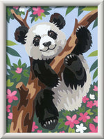 Paint by Number - Playful Panda
