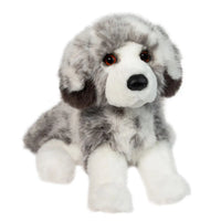 Skylar Australian Shepherd DLux

