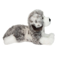 Skylar Australian Shepherd DLux