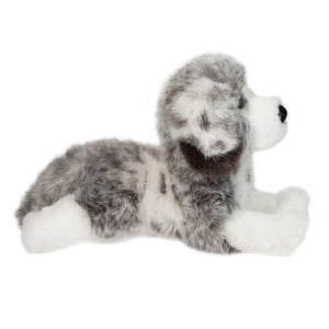 Skylar Australian Shepherd DLux