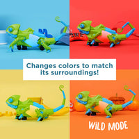 My Robotic Pet: Coding Chameleon
