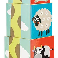 Stack 'n Learn Cubes