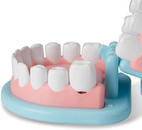 Super Smile Dentist Play Set
