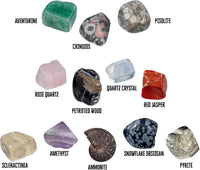 I Dig It! Rocks & Fossils
