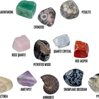 I Dig It! Rocks & Fossils