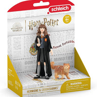 Hermione Granger & Crookshanks