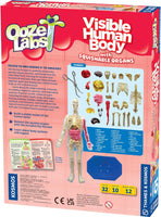 Ooze Labs: Visible Human Body with Squishable Organs
