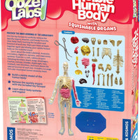 Ooze Labs: Visible Human Body with Squishable Organs