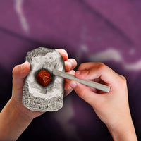 I Dig It! Rocks & Fossils
