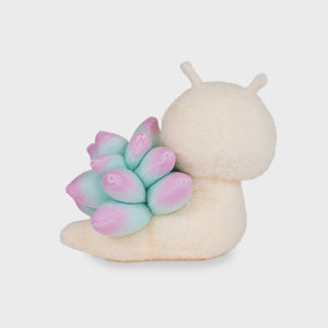Sage Succulent Snail 6"