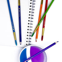 Color Brush Watercolor Pencil & Paintbrush Set of 12