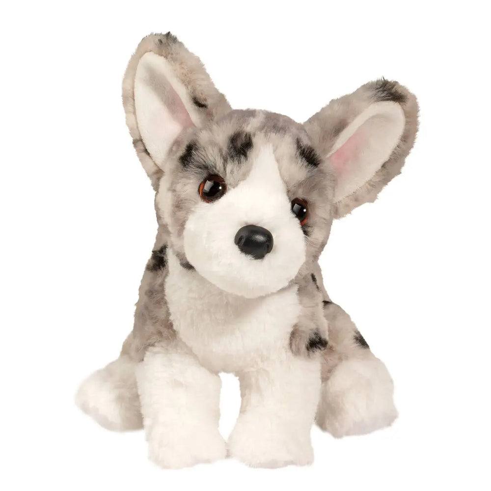 Codie Corgi Soft