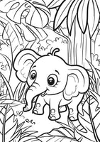 XXL Coloring - Animals
