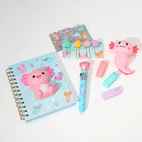 Axolotl Squishy Journal

