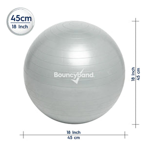 Balance Ball No-Roll Weighted Seat