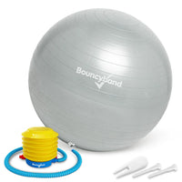 Balance Ball No-Roll Weighted Seat

