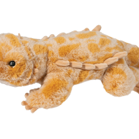 Boogie Bearded Dragon