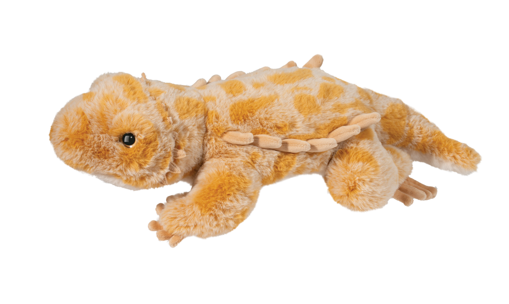 Boogie Bearded Dragon