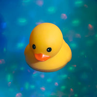 Boogie Bath Ducks
