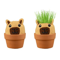 Capybara Grow Pal
