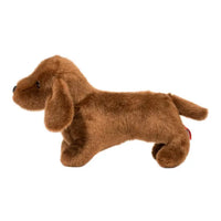 Dilly Dachshund
