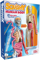 Squishy Human Body
