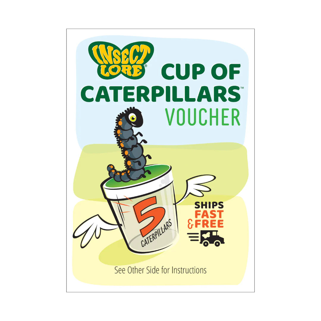 Butterfly Garden with Prepaid Voucher | Noggin Factory Toy Shop