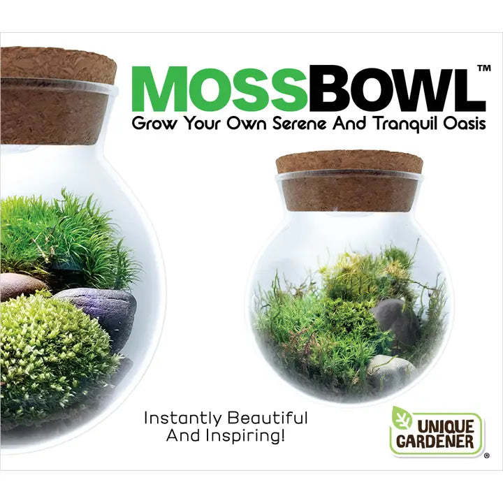 Moss Bowl - Grow Your Own Oasis