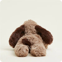 Brown Dog Warmies
