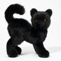 Scaredy Black Cat