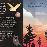 Nighttime: A Shine-A-Light Book