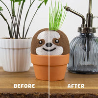 Sloth Grow Pal
